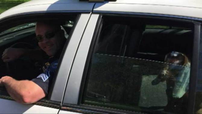 Jay z arrested for assault ! | Genius