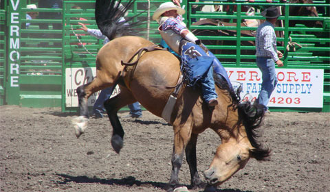 George Strait – Amarillo by Morning Lyrics | Genius Lyrics