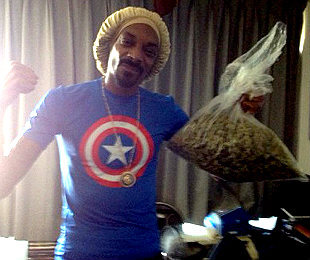 Pounds Of Weed Fall On Dog House Pounds Of Weed Fall On Dog House