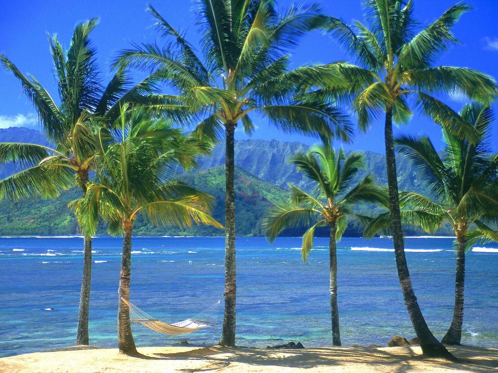 CARIBEAN QUEEN LYRICS caribean queen lyrics: