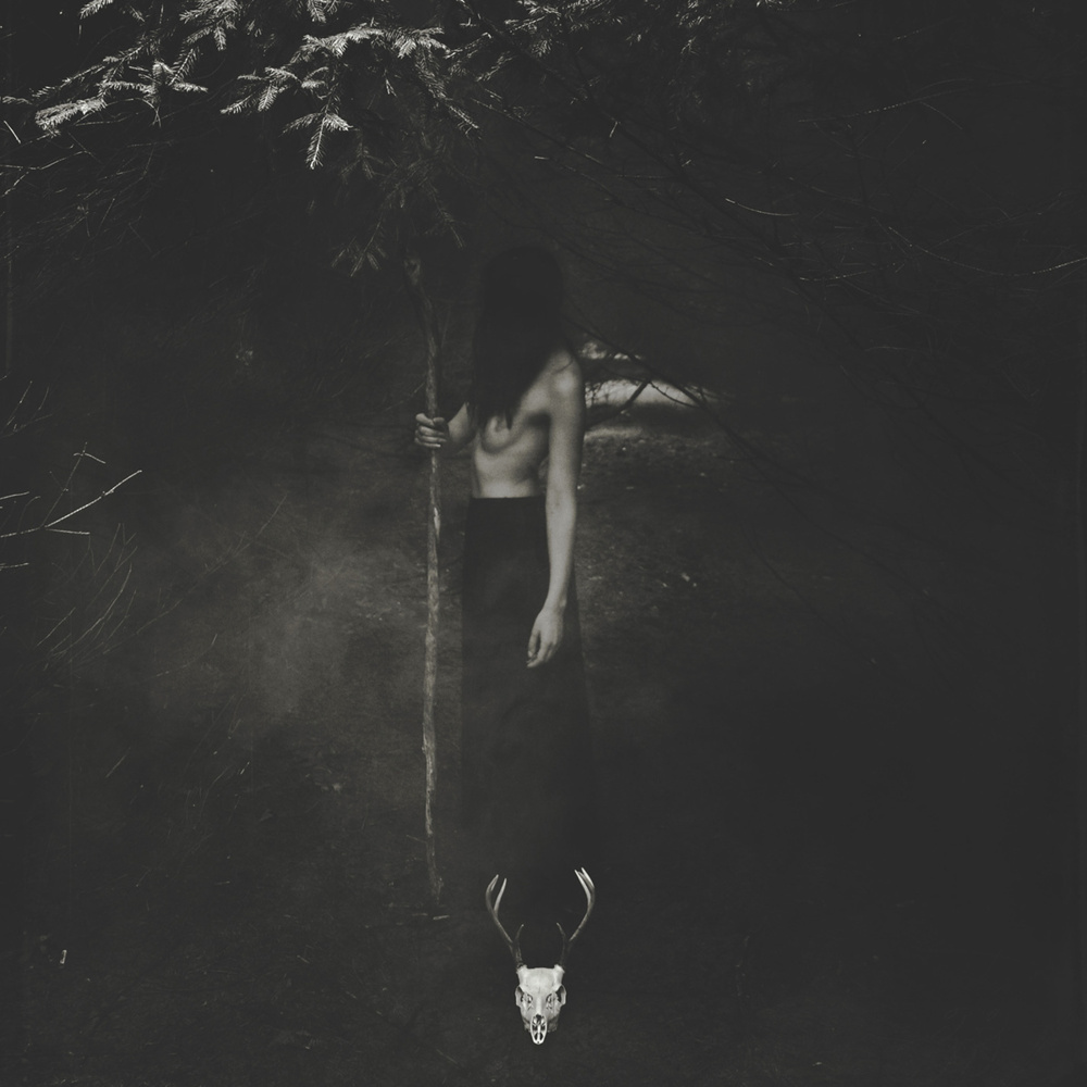 Hobs and feathers lyrics