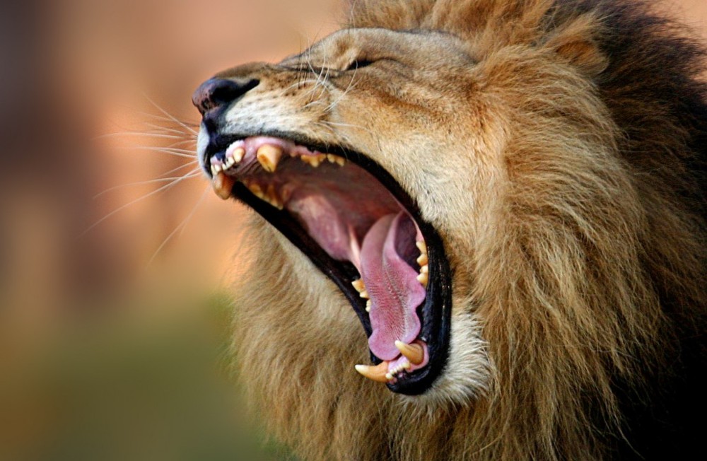 Azad Dreh ab Lyrics Genius Lyrics