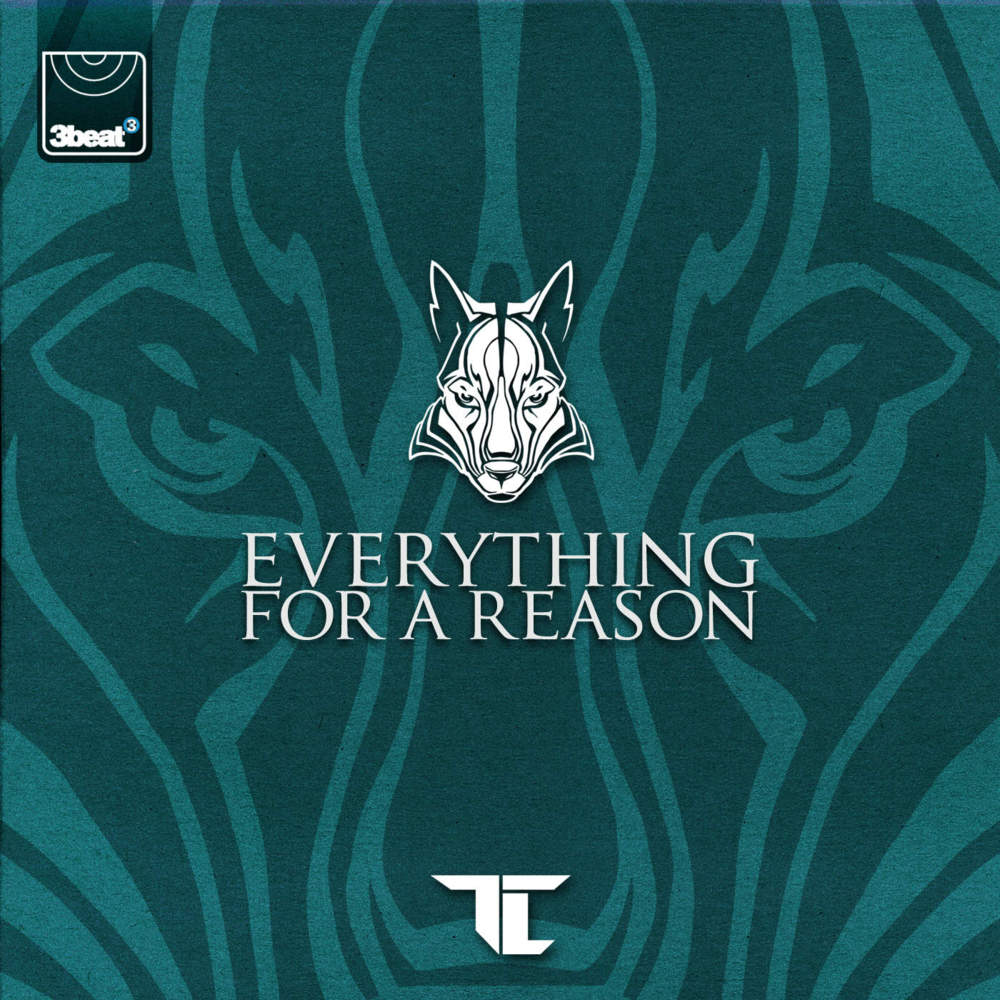 Tc Everything For A Reason Lyrics
