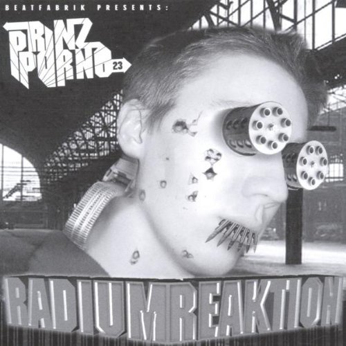 prinz nachtaktion lyrics prinz nachtaktion lyrics