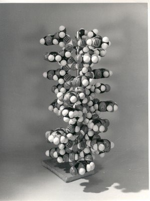 salt structure 1 A F. and for H. J. Crick C. D. â Structure Watson