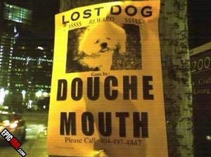 Genius profile picture for @python
