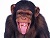 Genius profile picture for @Incorporated