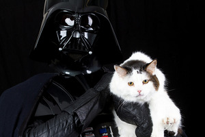 Genius profile picture for @madele