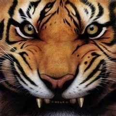 Genius profile picture for @TigeRz