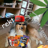 Genius profile picture for @Borland