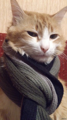 Genius profile picture for @kepLer