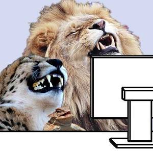 Genius profile picture for @mDt