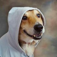 Genius profile picture for @french