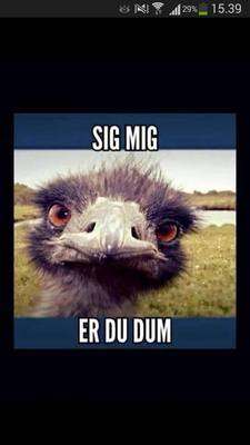 Genius profile picture for @damp