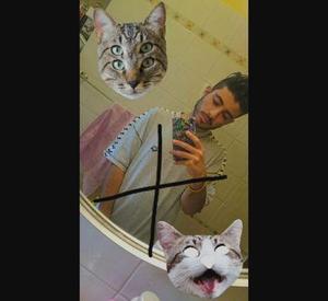 Genius profile picture for @Shylock