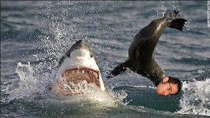 Genius profile picture for @tweedle