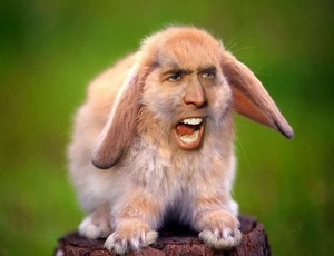 Genius profile picture for @omelette