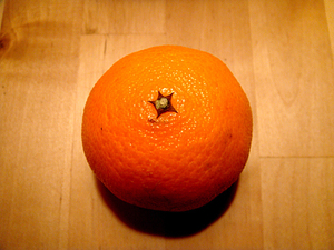 Genius profile picture for @Tangerine
