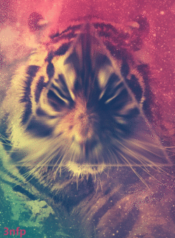 Genius profile picture for @FUN