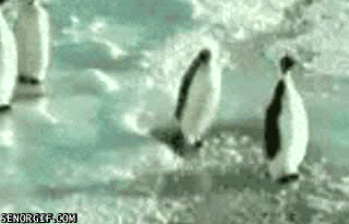 Funniest gif's? | Genius