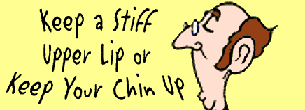 Ac/dc stiff upper lip 2000. To keep a stiff upper lip. Stiff upper lip englishman. Stiff upper lip идиома. Stiff upper lip british.