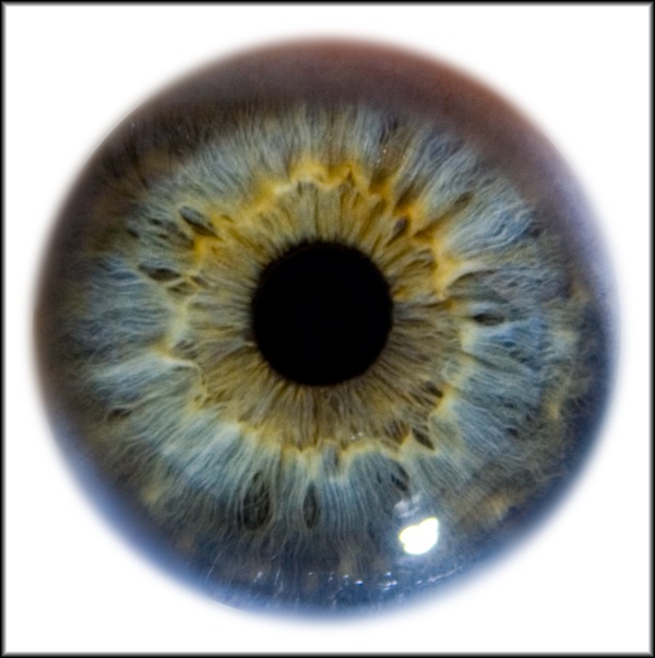 U2 Iris Hold Me Close Lyrics Genius Lyrics