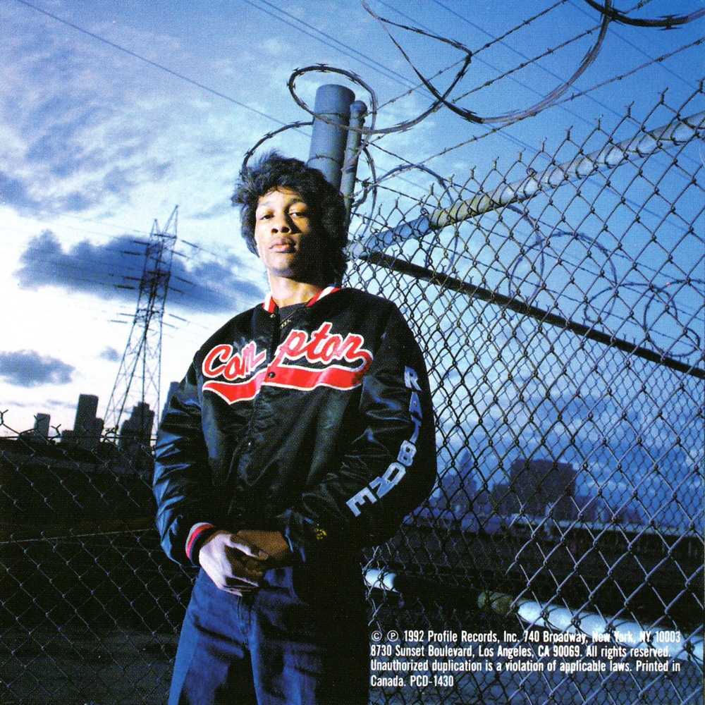 Does DJ Quik Have The Undisputed Best Rap Hair OAT Genius