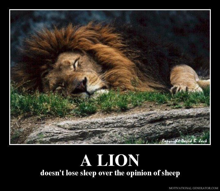 A Sheep Doesn t Lose Sleep Over The Opinion Of The Lions Man Of A Moon Meaning