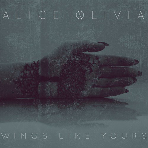 Alice Olivia Wings Like Yours Lyrics Genius Lyrics
