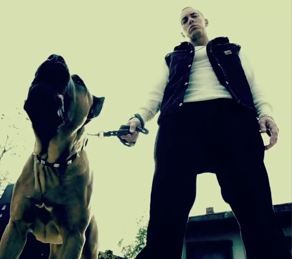 EMINEM. — Do you know of any pictures with Eminem...