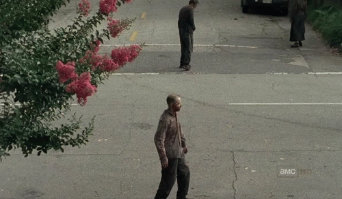 fc64a34cedd63b3bcff150a3d56cb355.500x291